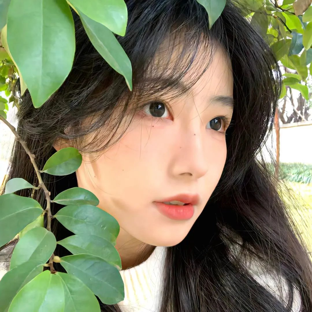 理发